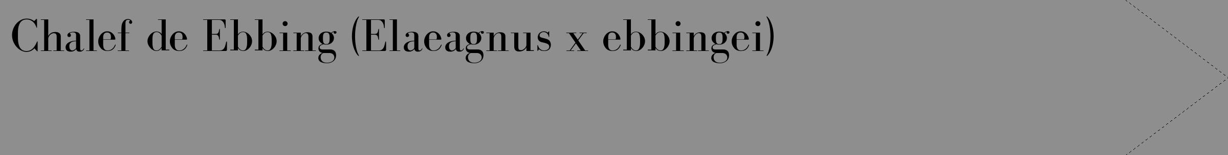 Étiquette de : Elaeagnus x ebbingei - format c - style noire25_simple_simplebod avec comestibilité