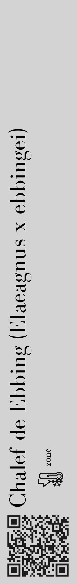 Étiquette de : Elaeagnus x ebbingei - format c - style noire56_basique_basiquebod avec qrcode et comestibilité - position verticale