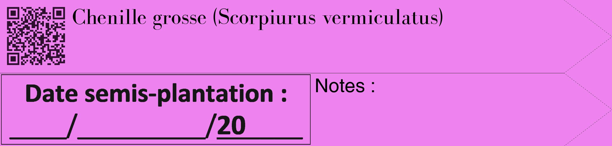 Étiquette de : Scorpiurus vermiculatus - format c - style noire53_simple_simplebod avec qrcode et comestibilité