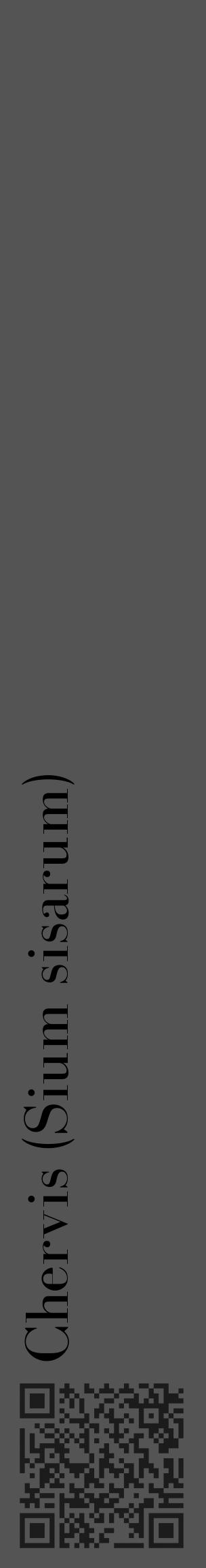 Étiquette de : Sium sisarum - format c - style noire30_basique_basiquebod avec qrcode et comestibilité - position verticale