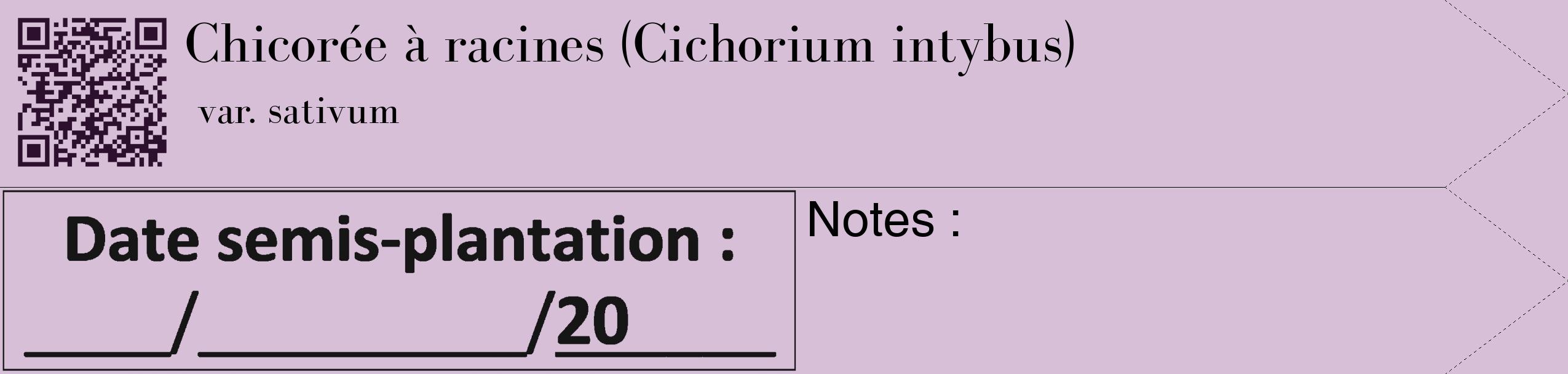 Étiquette de : Cichorium intybus var. sativum - format c - style noire54_simple_simplebod avec qrcode et comestibilité