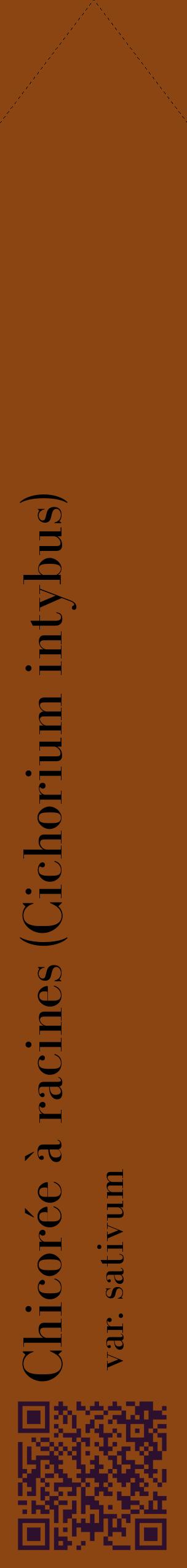 Étiquette de : Cichorium intybus var. sativum - format c - style noire30_simplebod avec qrcode et comestibilité