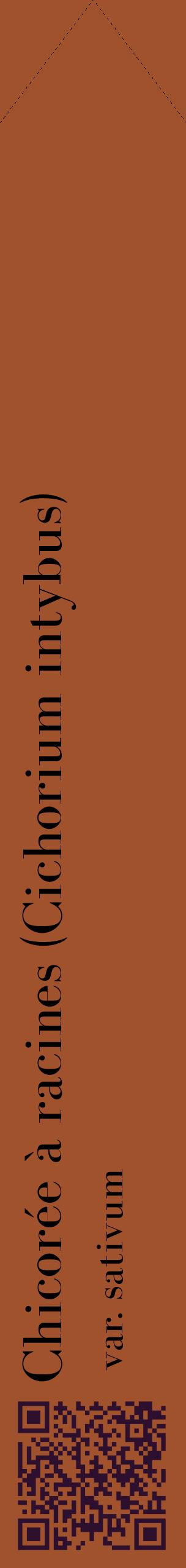 Étiquette de : Cichorium intybus var. sativum - format c - style noire32_simplebod avec qrcode et comestibilité