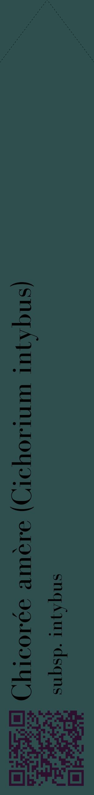 Étiquette de : Cichorium intybus subsp. intybus - format c - style noire58_simplebod avec qrcode et comestibilité