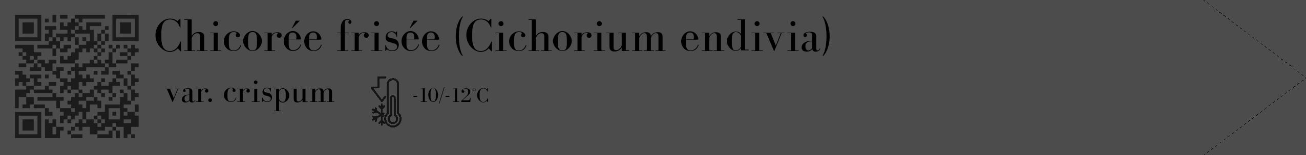 Étiquette de : Cichorium endivia var. crispum - format c - style noire27_simple_simplebod avec qrcode et comestibilité