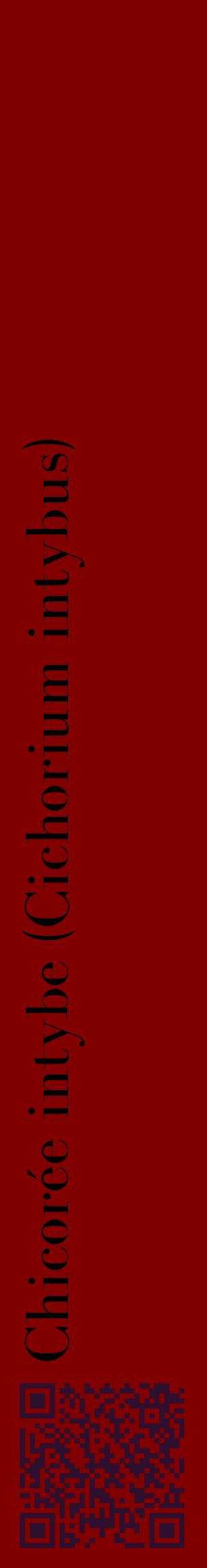 Étiquette de : Cichorium intybus - format c - style noire29_basiquebod avec qrcode et comestibilité