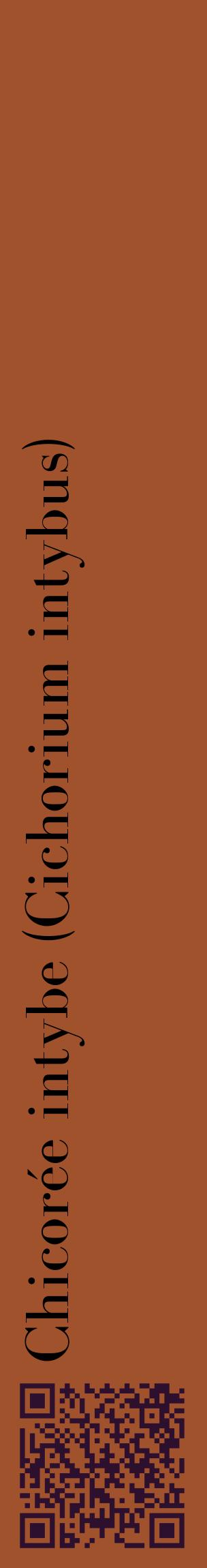 Étiquette de : Cichorium intybus - format c - style noire32_basiquebod avec qrcode et comestibilité