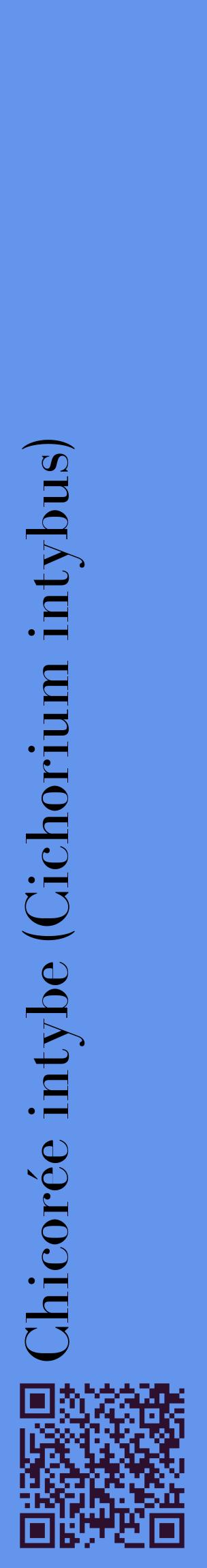 Étiquette de : Cichorium intybus - format c - style noire4_basiquebod avec qrcode et comestibilité