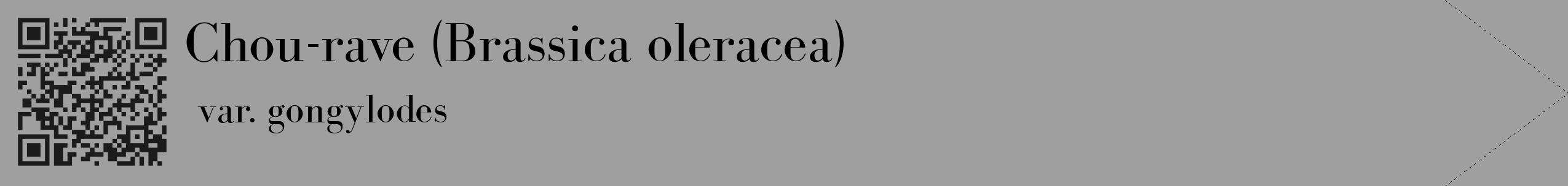 Étiquette de : Brassica oleracea var. gongylodes - format c - style noire24_simple_simplebod avec qrcode et comestibilité