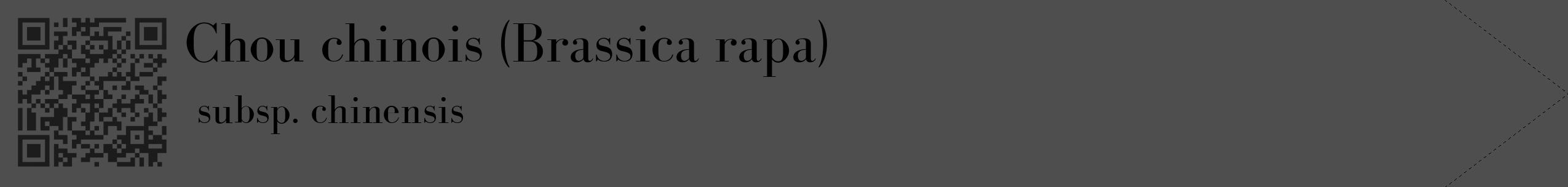 Étiquette de : Brassica rapa subsp. chinensis - format c - style noire33_simple_simplebod avec qrcode et comestibilité