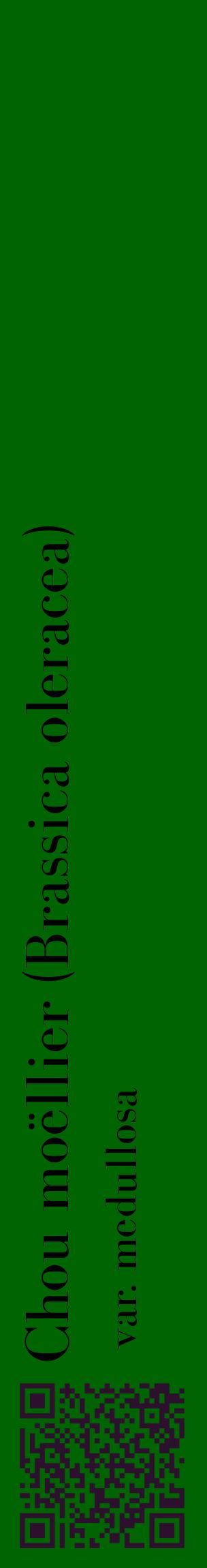 Étiquette de : Brassica oleracea var. medullosa - format c - style noire8_basiquebod avec qrcode et comestibilité