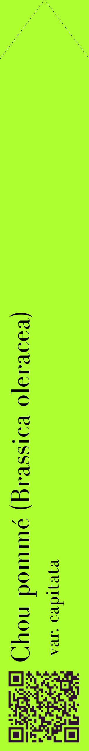 Étiquette de : Brassica oleracea var. capitata - format c - style noire17_simplebod avec qrcode et comestibilité
