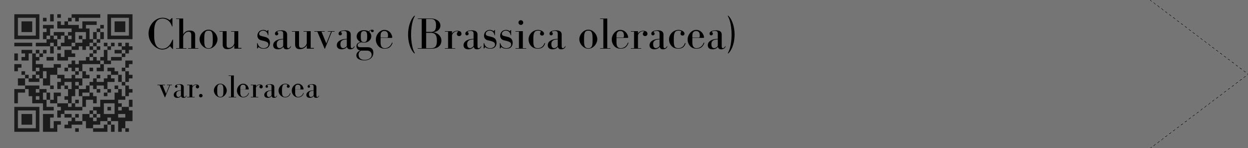 Étiquette de : Brassica oleracea var. oleracea - format c - style noire5_simple_simplebod avec qrcode et comestibilité