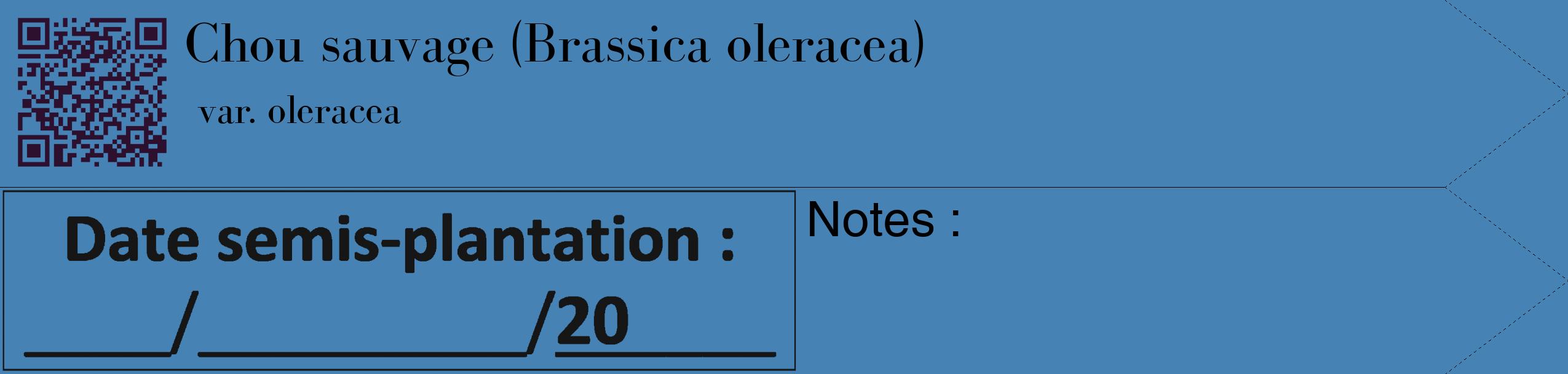 Étiquette de : Brassica oleracea var. oleracea - format c - style noire5_simple_simplebod avec qrcode et comestibilité