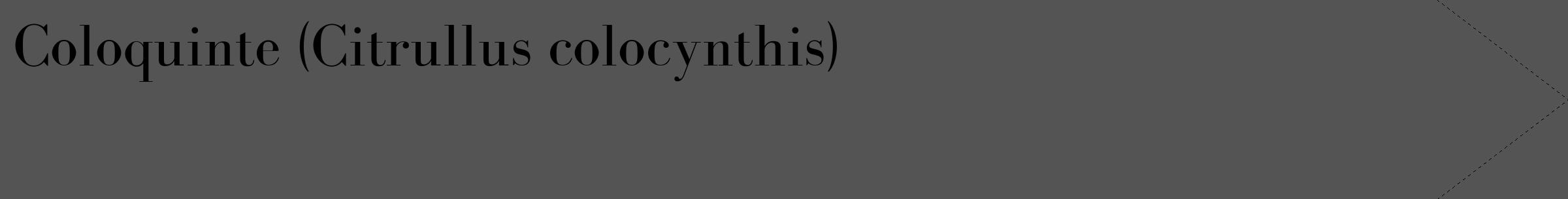Étiquette de : Citrullus colocynthis - format c - style noire36_simple_simplebod avec comestibilité