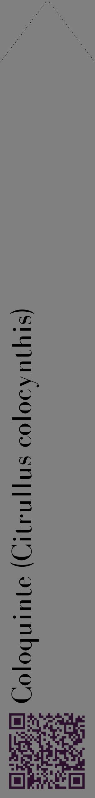 Étiquette de : Citrullus colocynthis - format c - style noire57_simplebod avec qrcode et comestibilité
