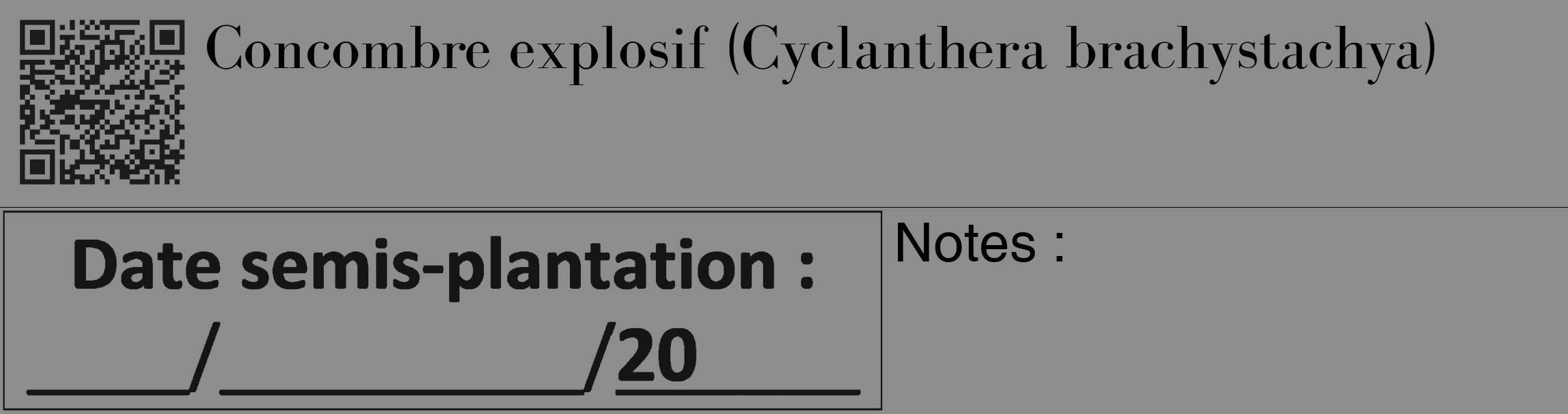 Étiquette de : Cyclanthera brachystachya - format c - style noire2_basique_basiquebod avec qrcode et comestibilité