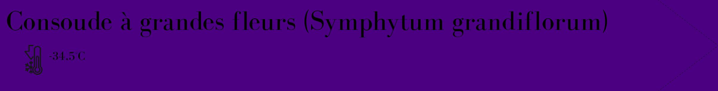 Étiquette de : Symphytum grandiflorum - format c - style noire47_simple_simplebod avec comestibilité