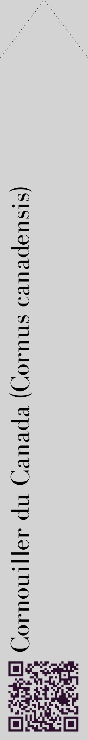 Étiquette de : Cornus canadensis - format c - style noire56_simplebod avec qrcode et comestibilité