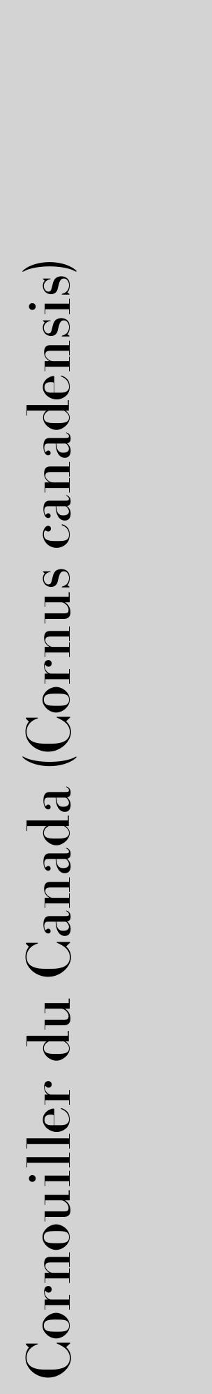 Étiquette de : Cornus canadensis - format c - style noire56_basique_basiquebod avec comestibilité - position verticale