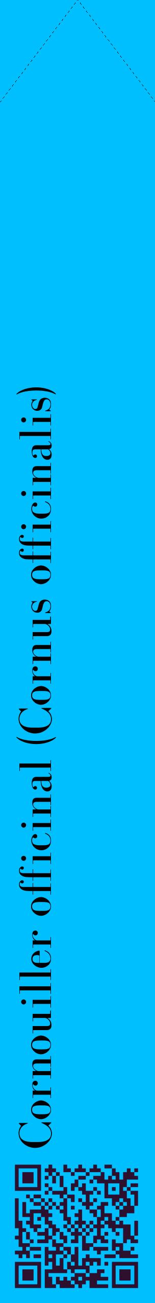 Étiquette de : Cornus officinalis - format c - style noire2_simplebod avec qrcode et comestibilité