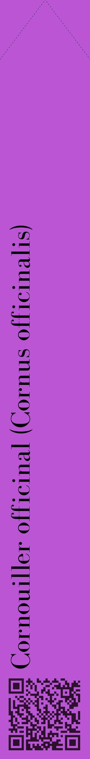 Étiquette de : Cornus officinalis - format c - style noire50_simplebod avec qrcode et comestibilité