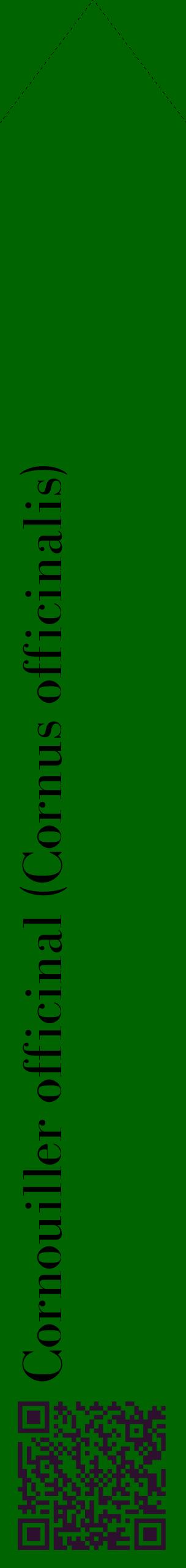 Étiquette de : Cornus officinalis - format c - style noire8_simplebod avec qrcode et comestibilité