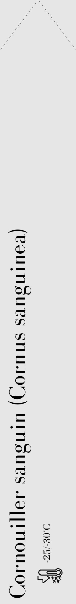 Étiquette de : Cornus sanguinea - format c - style noire18_simple_simplebod avec comestibilité - position verticale