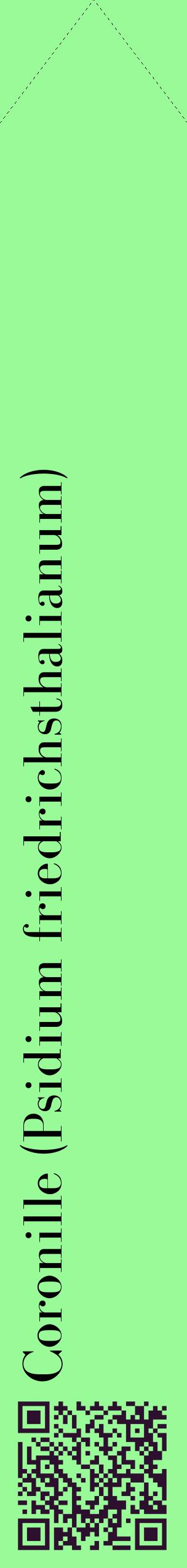 Étiquette de : Psidium friedrichsthalianum - format c - style noire14_simplebod avec qrcode et comestibilité