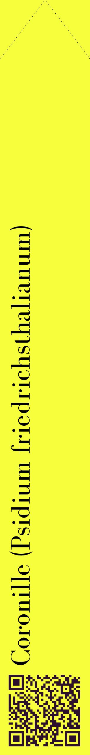 Étiquette de : Psidium friedrichsthalianum - format c - style noire18_simplebod avec qrcode et comestibilité