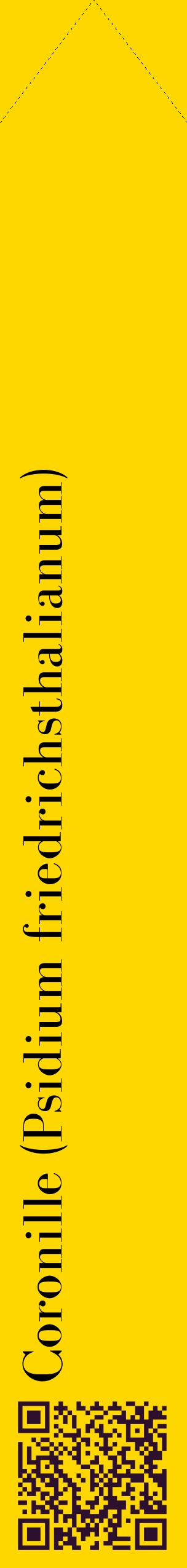 Étiquette de : Psidium friedrichsthalianum - format c - style noire21_simplebod avec qrcode et comestibilité