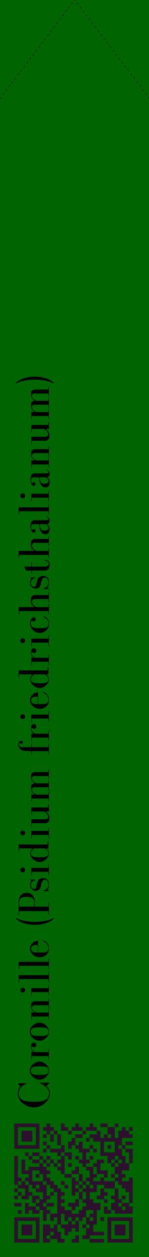 Étiquette de : Psidium friedrichsthalianum - format c - style noire8_simplebod avec qrcode et comestibilité