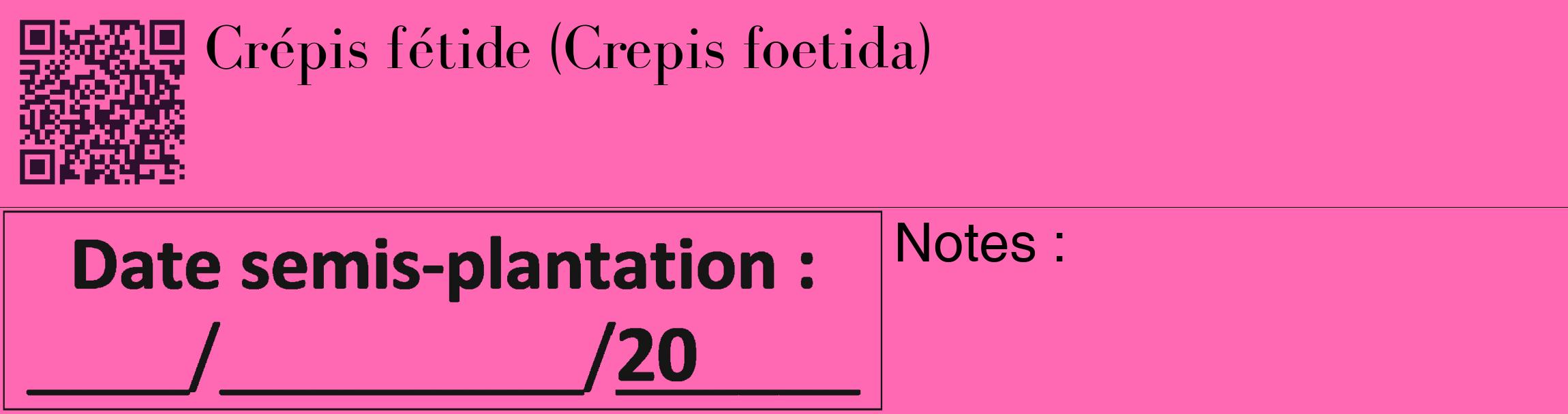 Étiquette de : Crepis foetida - format c - style noire42_basique_basiquebod avec qrcode et comestibilité