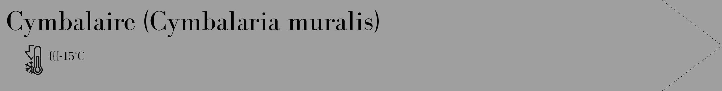 Étiquette de : Cymbalaria muralis - format c - style noire24_simple_simplebod avec comestibilité