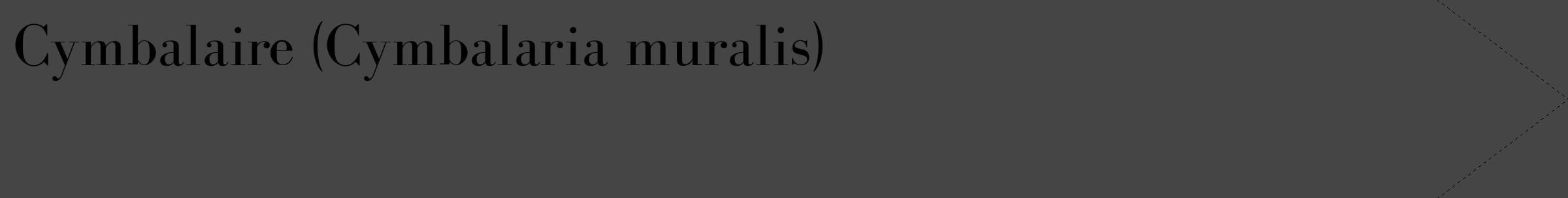 Étiquette de : Cymbalaria muralis - format c - style noire58_simple_simplebod avec comestibilité