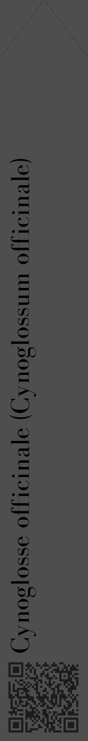 Étiquette de : Cynoglossum officinale - format c - style noire33_simple_simplebod avec qrcode et comestibilité - position verticale