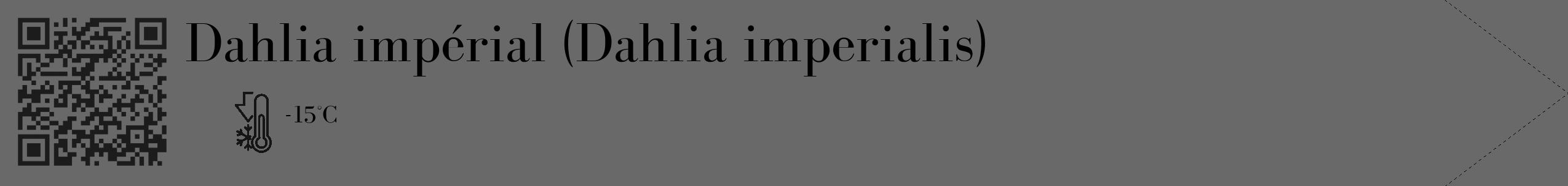 Étiquette de : Dahlia imperialis - format c - style noire11_simple_simplebod avec qrcode et comestibilité