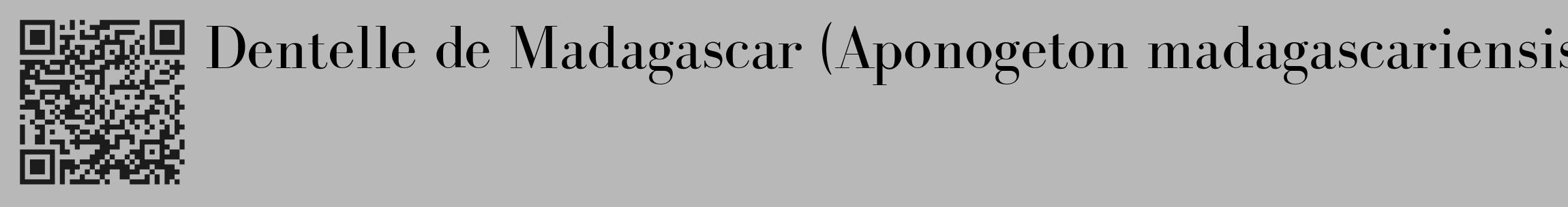 Étiquette de : Aponogeton madagascariensis - format c - style noire39_basique_basiquebod avec qrcode et comestibilité