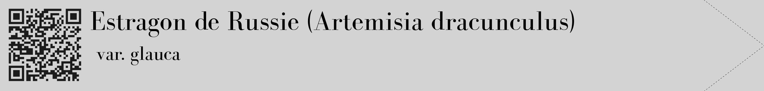 Étiquette de : Artemisia dracunculus var. glauca - format c - style noire56_simple_simplebod avec qrcode et comestibilité