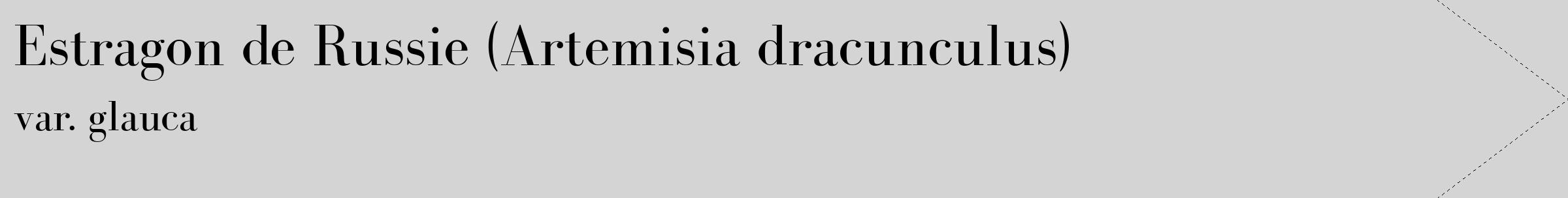 Étiquette de : Artemisia dracunculus var. glauca - format c - style noire40_simple_simplebod avec comestibilité