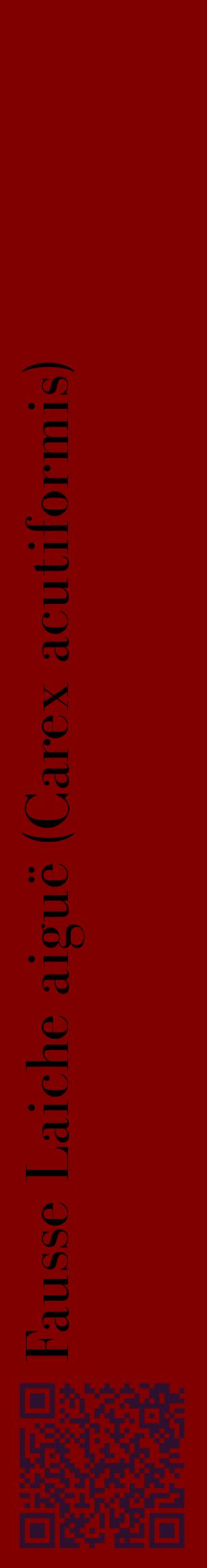 Étiquette de : Carex acutiformis - format c - style noire29_basiquebod avec qrcode et comestibilité