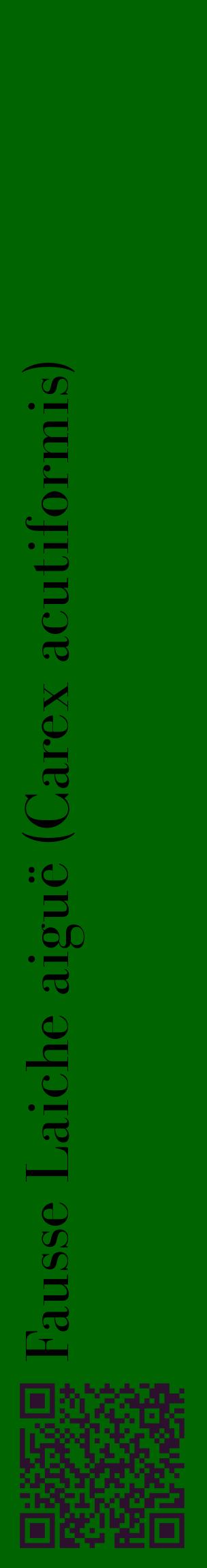 Étiquette de : Carex acutiformis - format c - style noire8_basiquebod avec qrcode et comestibilité