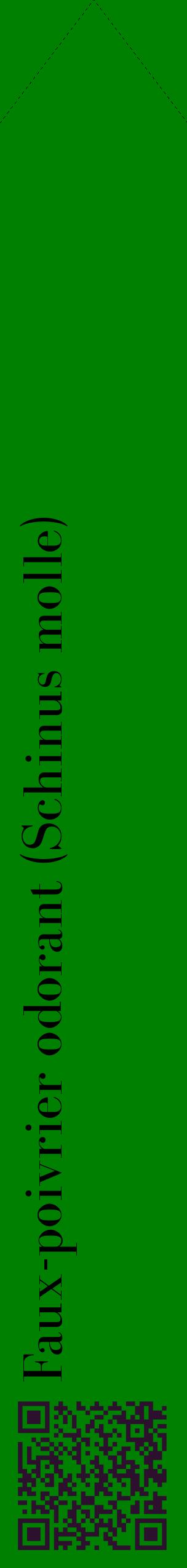 Étiquette de : Schinus molle - format c - style noire9_simplebod avec qrcode et comestibilité