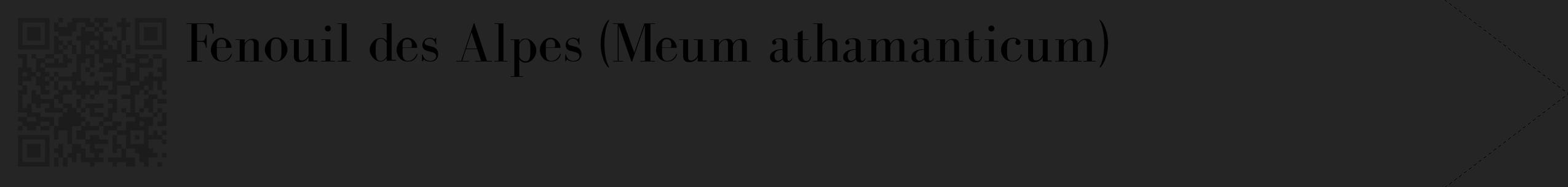 Étiquette de : Meum athamanticum - format c - style noire47_simple_simplebod avec qrcode et comestibilité
