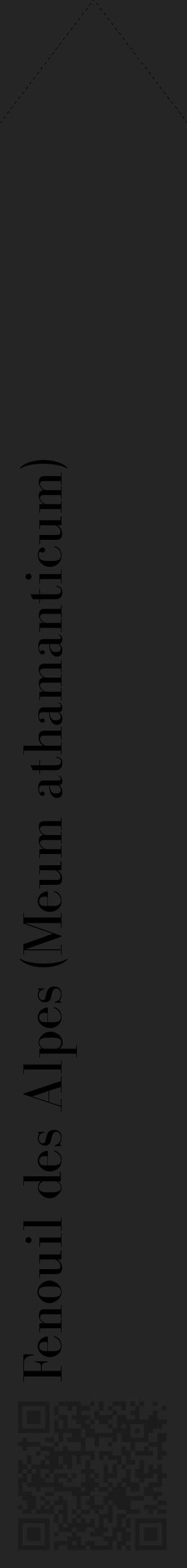 Étiquette de : Meum athamanticum - format c - style noire47_simple_simplebod avec qrcode et comestibilité - position verticale