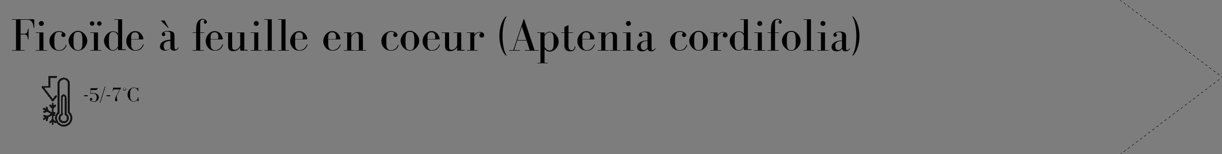 Étiquette de : Aptenia cordifolia - format c - style noire35_simple_simplebod avec comestibilité