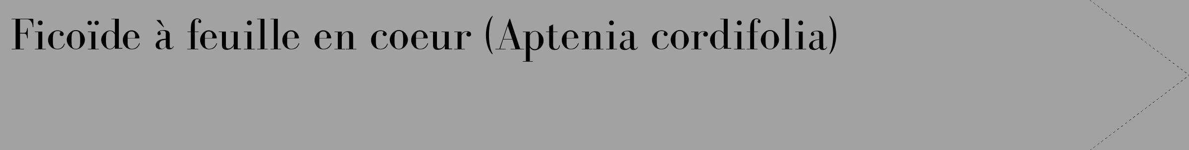 Étiquette de : Aptenia cordifolia - format c - style noire38_simple_simplebod avec comestibilité
