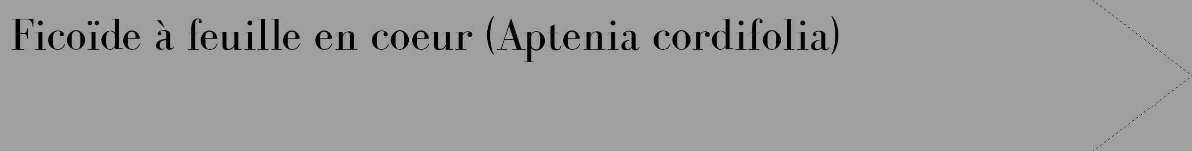Étiquette de : Aptenia cordifolia - format c - style noire42_simple_simplebod avec comestibilité