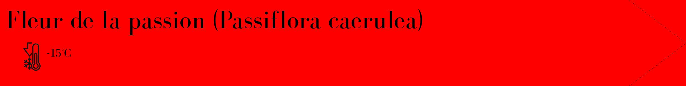 Étiquette de : Passiflora caerulea - format c - style noire27_simple_simplebod avec comestibilité