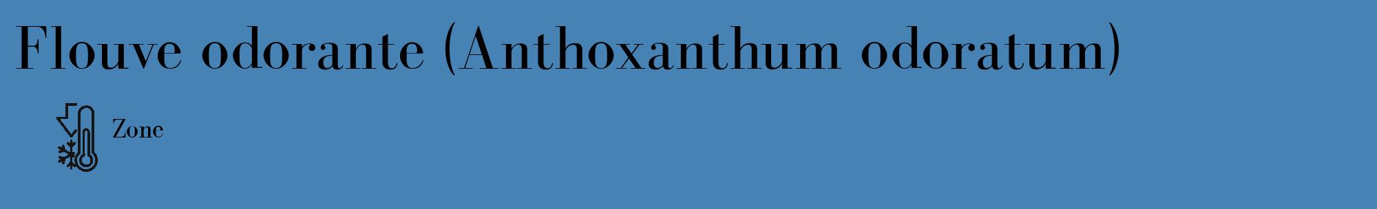 Étiquette de : Anthoxanthum odoratum - format c - style noire5_basique_basiquebod avec comestibilité